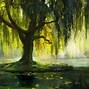 Image result for Willow Tree Theams