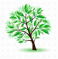 Image result for Tree Branch Cartoon Image