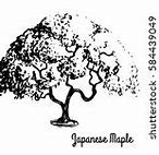 Image result for Japanese Maple Leaf Outline