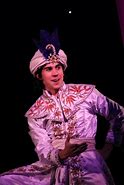 Image result for Aladdin a Musical Spectacular