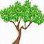 Image result for Tree Branch Cartoon Image