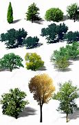 Image result for Trees Birds Eye View Australia