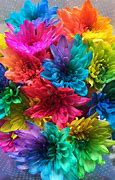 Image result for Bright Colored Flowers