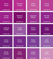 Image result for Purple-Ish Colors