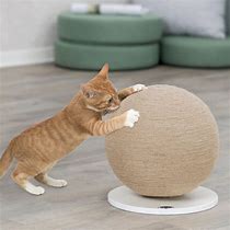 Image result for Cat Scratcher Ball