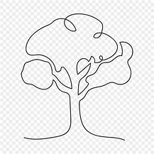 Image result for Tree Types Line Art