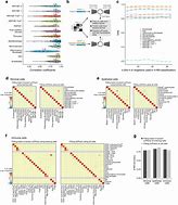 Image result for What Is Deep Generative Models