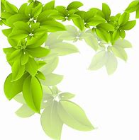 Image result for Free Abstract PNG Vector of Leaves