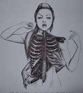 Image result for Human Rib Cage with Spine