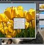 Image result for Free Vector Editor Online