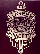 Image result for Princeton TX High School Banners