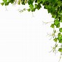 Image result for Fall Leaves Clip Art Border Free Public Domain