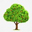 Image result for Pohon Apple Vector