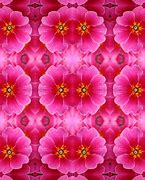 Image result for RGB Theme Background Rose