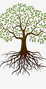 Image result for Clip Art of Roots