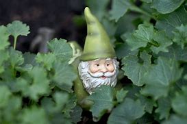 Image result for Gnome Wallpaper