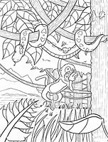 Image result for Rainforest Biome Drawing