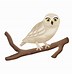 Image result for Owl On a Branch Adobe Stock