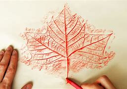 Image result for Autumn Leaf Rubbings