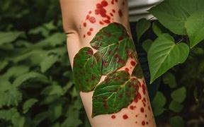 Image result for Palm Leaf Tattoo