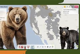 Image result for Free Image Map Tool