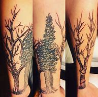 Image result for birch tree tattoo meaning