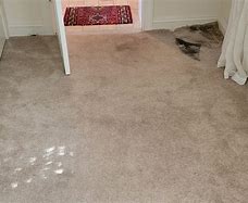 Image result for Flooded Carpet Clean Up