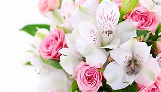 Image result for Bright Colored Flowers