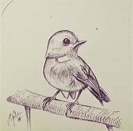 Image result for Perched Bird Drawing