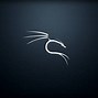 Image result for Kali Linux Hacker Backgrounds