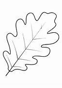 Image result for Oak Leaf Design