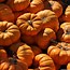 Image result for Fall Pics with Leaves and Pumpkins