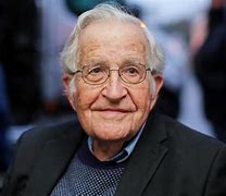 Image result for On Palestine Noam Chomsky