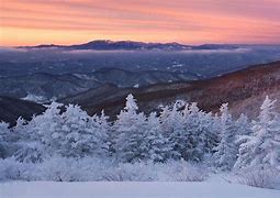 Image result for North Carolina Winter Farm Scenes