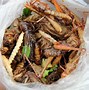 Image result for Thailand People Eating Bugs