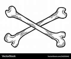 Image result for Realistic Bones Crossed