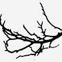 Image result for Tree Branch Vector Art