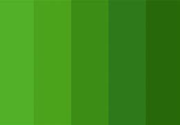 Image result for Warm Color Screen