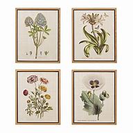 Image result for Botanical Wall Art Decor