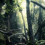 Image result for Amazon Tropical Rainforest Map