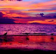 Image result for Beach Sunset Desktop