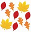 Image result for Fall Leaf Shapes Printable