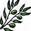 Image result for Olive Branch Clipart