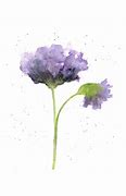 Image result for Watercolor Flowers