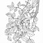 Image result for Coloring Page of Branch