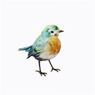 Image result for Watercolour Bird