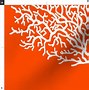 Image result for Coral Reef Color Book