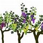 Image result for Wine Vine Border