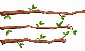 Image result for Vector Tree Branch Coloring