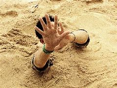 Image result for What Is Quicksand